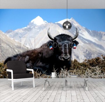 Picture of Yak - Nepal
